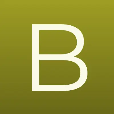 Бюро медико-социальной экспертизы по Хабаровскому краю, лого-визитка