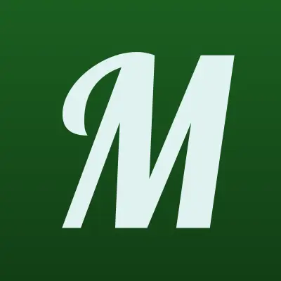 Медуза, лого-визитка